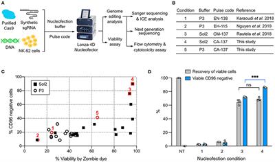 Enhanced <mark class="highlighted">NK-92</mark> Cytotoxicity by CRISPR Genome Engineering Using Cas9 Ribonucleoproteins